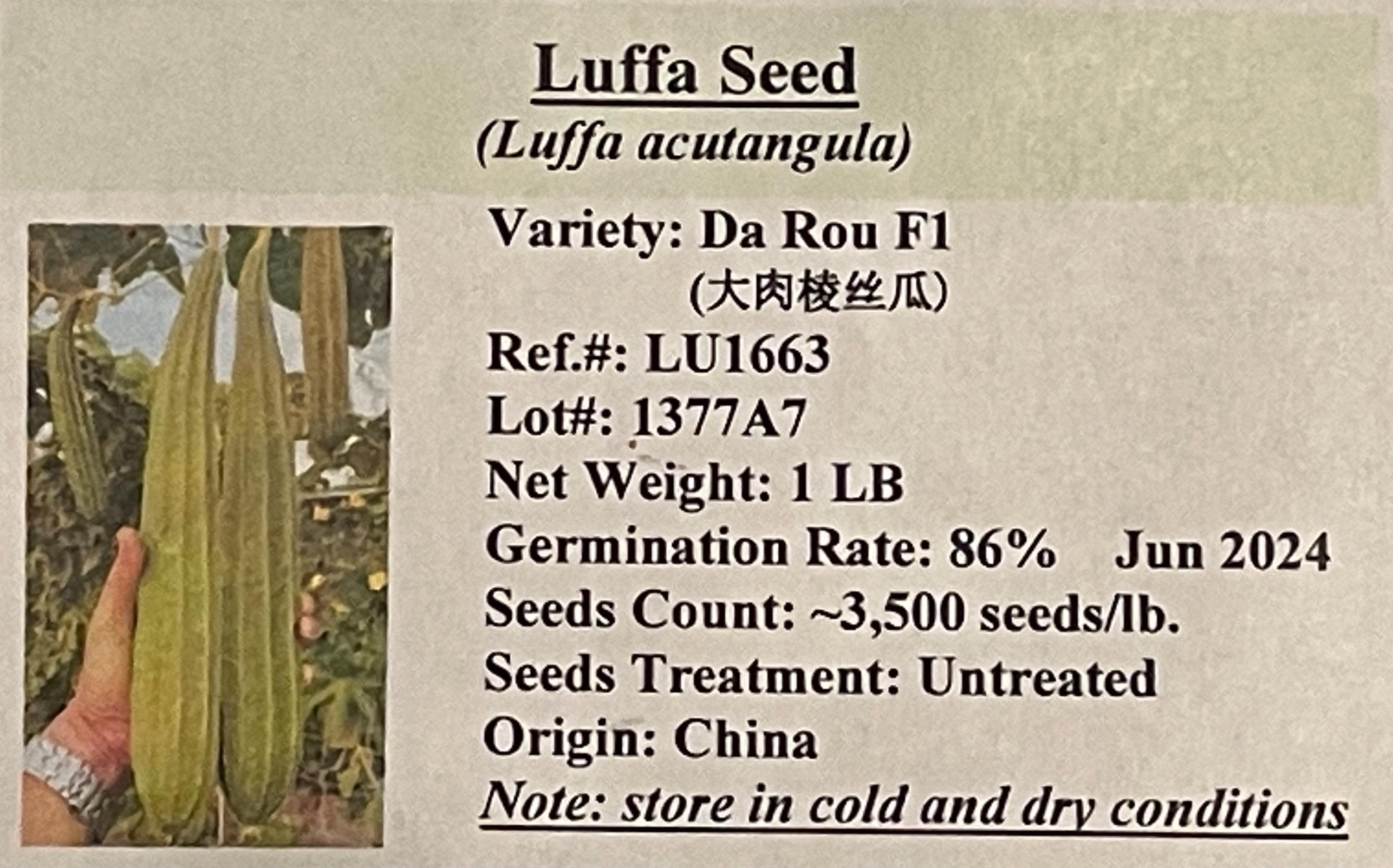 10 Da Rou Hybrid Ridged Luffa Seeds; Big Meat; Early Maturity, Meaty ...