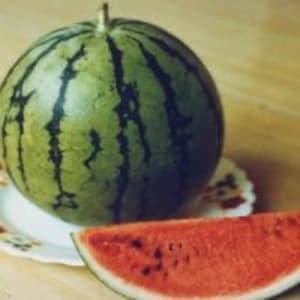 Rare Find! 20 Pony Red Hybrid Japanese Watermelon Seeds; SuperSweet Personal Size