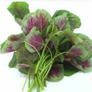 May include: A bunch of fresh amaranth greens with vibrant green leaves and red veins. The leaves are arranged in a cluster, showcasing the plant's natural beauty.