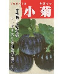 15 Kogiku Japanese Kabocha Winter Squash Seeds 小菊南瓜 こぎくかぼちゃ Etsy Norway