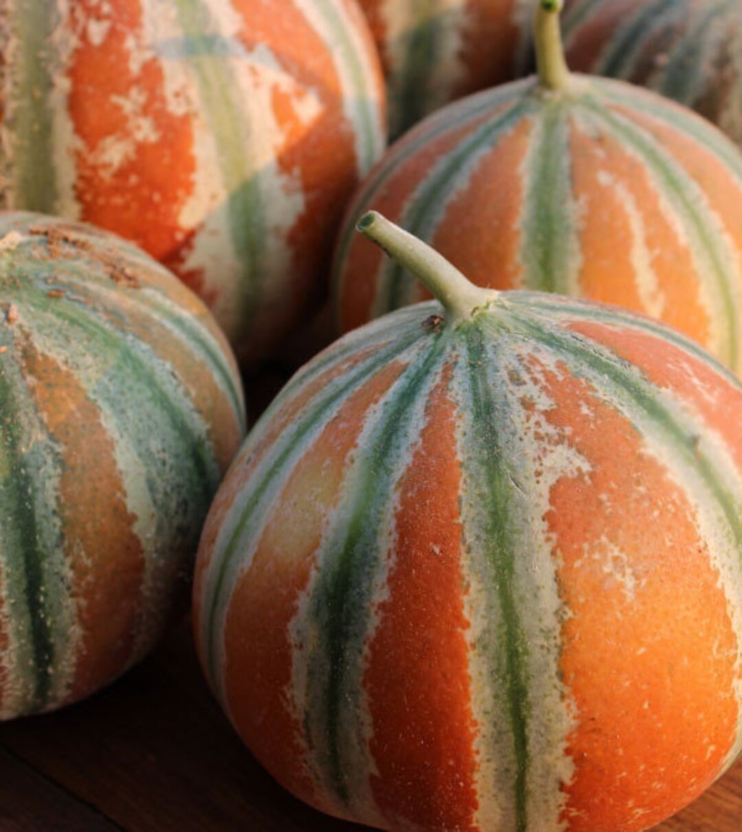 20 KAJARI MELON Seeds Amazingly Beautiful Striped Sweet Melon From