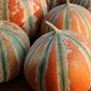 May include: Close-up of several cantaloupe melons with a green and orange striped pattern. The melons are arranged in a group on a wooden surface.