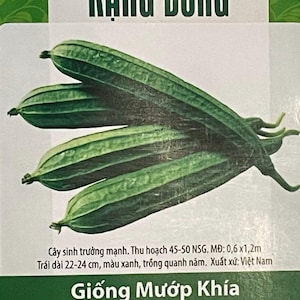 Vietnamese Hybrid Ridge Luffa; Angled Loofah; Hạt Giống Mướp Khía Lai RADO 515 Rạng Đông