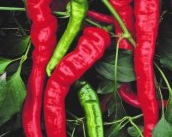 25 JIMMY NARDELLO Sweet Pepper seeds; Italian heirloom; great for frying; 6"-10" long; All Time Favorite