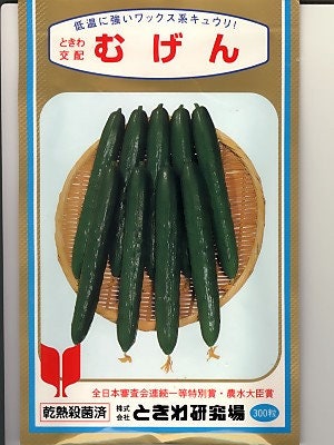20 TOKIWA Tokyo Green; Japanese Long Burpless Cucumber Seeds