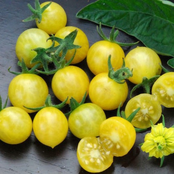 Blondkopfchen tomato, Organic | Restoration Seeds