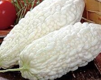 Burpee Early Silver Line Melon Seeds - Yellow, 1 Count