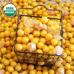 May include: A wire basket filled with bright yellow organic cape gooseberries, also known as golden berries, surrounded by more of the fruit on a counter. The basket has a label that reads "USDA Organic".