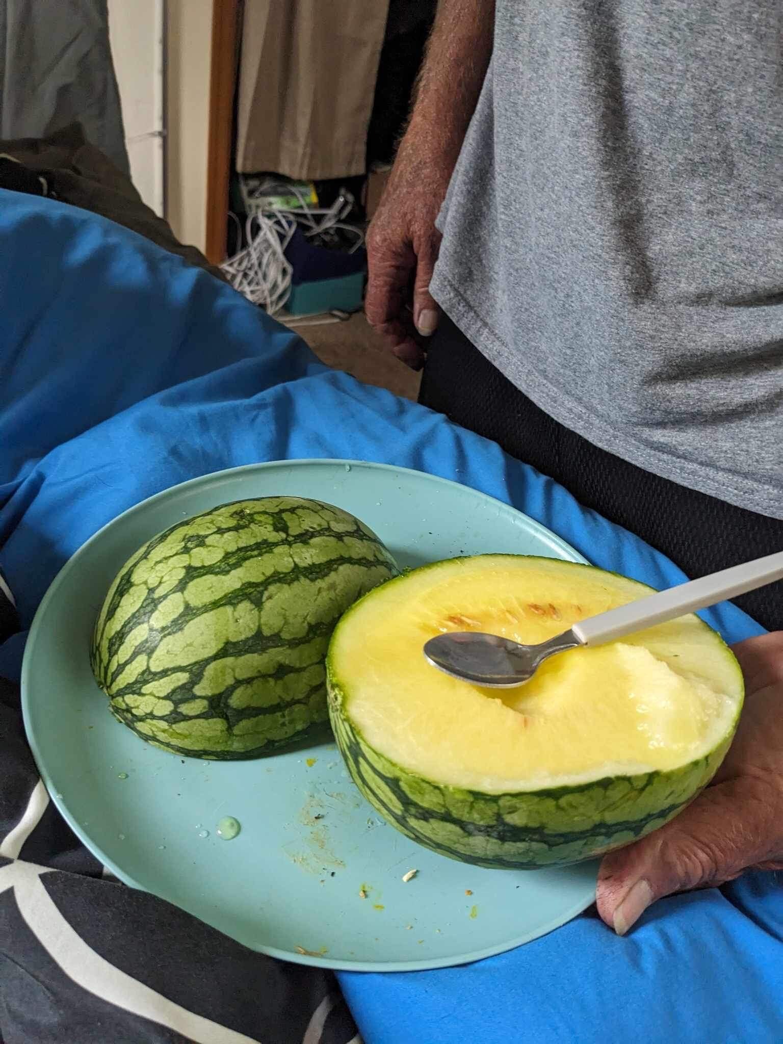 Rare Find! 20 Pony Yellow Hybrid Japanese Watermelon Seeds