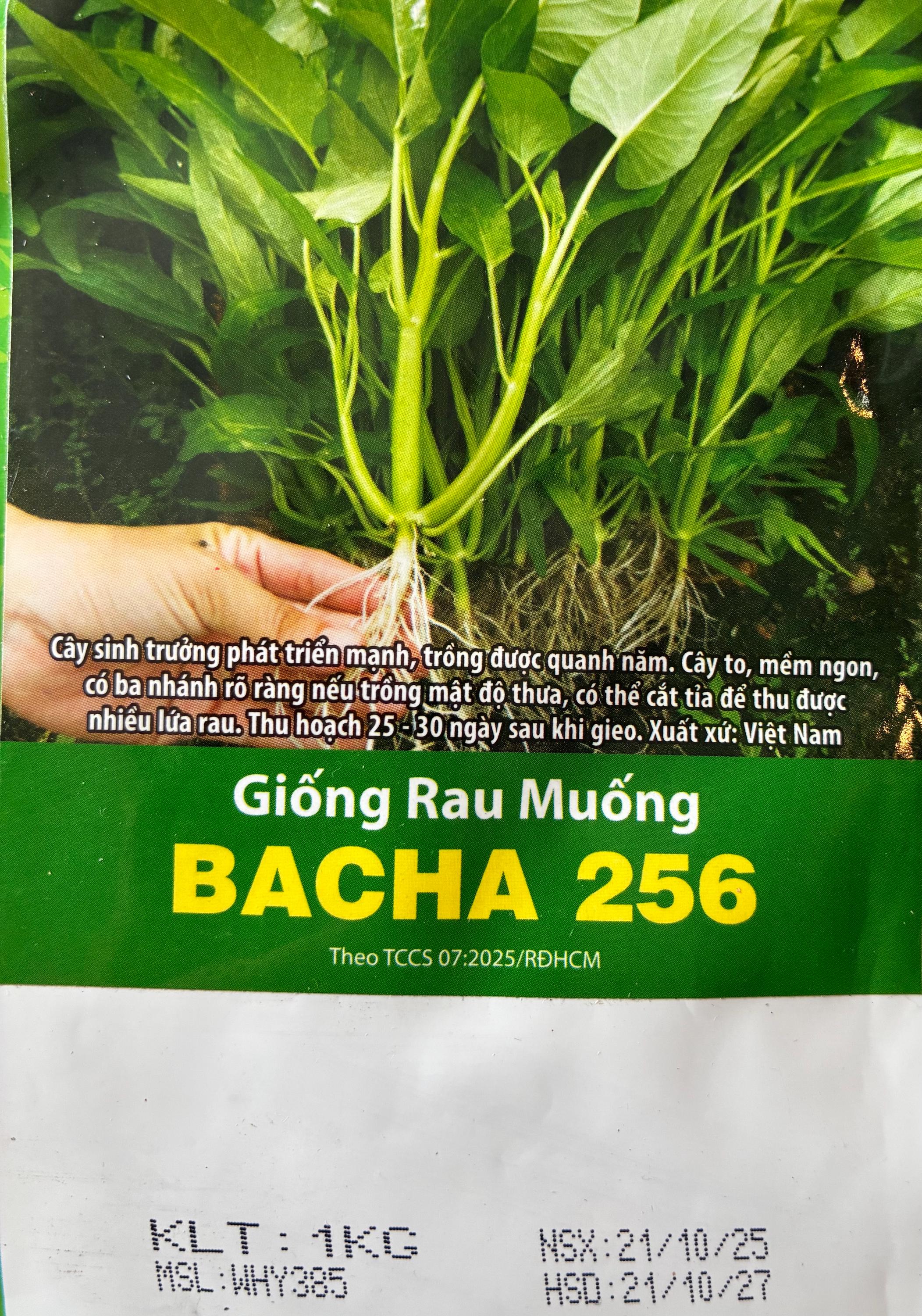 Triple-stem Water Spinach Seeds; Ong Choi; Rau Muống Ba Chạc; Rang Dong ...