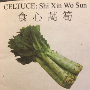 2-gram 2000 CELTUCE seeds; ShiXinWoSun, 食心萵筍, stem lettuce; asparagus lettuce