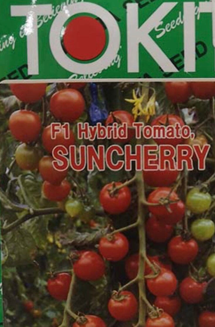 15 Suncherry RB Hybrid Japanese Tomato Seeds - Etsy