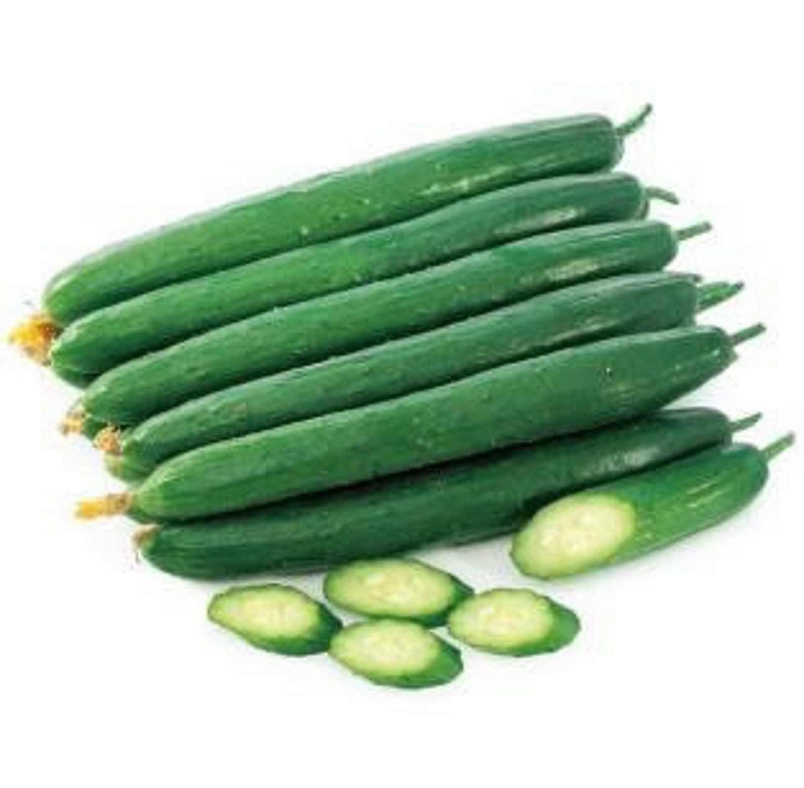 15 Taiwanese Hybrid Burpless Cucumber Seeds Heat Tolerant 耐熱型臺灣小黃瓜 F1 Etsy
