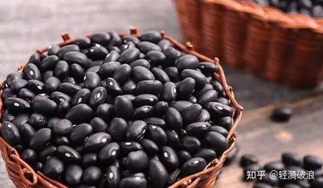 Rare Find 25 Organic Kuro Edamame Seeds Edible Chinese Black Soybean