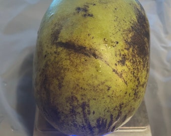 May include: A whole pawpaw fruit with a smooth, light green skin featuring dark brown mottled patches. The fruit is positioned on a digital kitchen scale that displays a weight of 18.29 ounces in bright blue illuminated digital numbers.