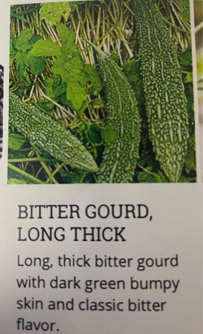 May include: Image of long, thick bitter gourds with dark green, bumpy skin. The gourds are surrounded by green leaves and vines. The text "BITTER GOURD, LONG THICK" is visible.