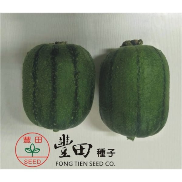 Rare Find! 5 Black King Kong LUFFA F1 Seeds; 台灣黑金剛絲瓜; mini Taiwan Luffa; 蘋果絲瓜 Apple Luffa cousin