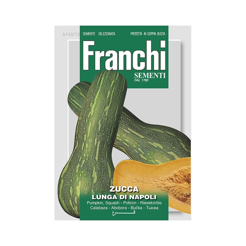 PanAsiaHeirloom Zucca Lunga Piena di Napoli Seeds - Thumbnail 3