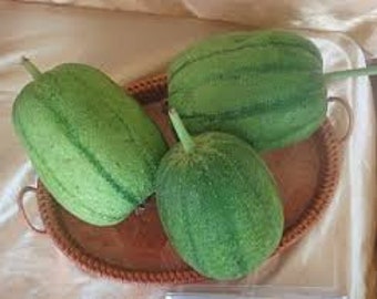 Rare Find! 5 APPLE LUFFA F1 Seeds; 台灣蘋果絲瓜 / 西瓜絲瓜 ; very sweet can be eaten raw; mini Taiwan loofah; high yield