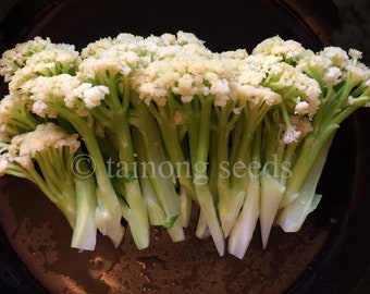 Cauliflower Etsy