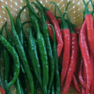 May include: A basket filled with a mix of green and red chili peppers. The green peppers are long and slender, while the red peppers are shorter and thicker.