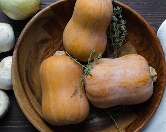 15 organic HONEYNUT Mini Butternut Squash seeds