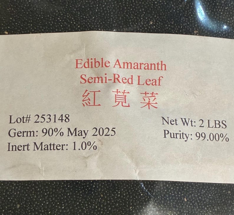 1/4-oz 7000+ Red Stripe Leaf Amaranth seeds; 紅莧菜; Rau Den; Red Callaloo / Chinese Summer Spinach, new arrival May 2025 image 2