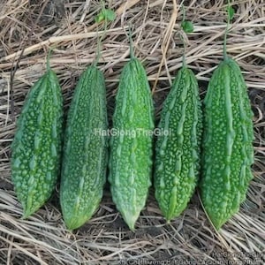 May include: A set of three ceramic mugs with a speckled, matte finish. The mugs are in shades of cream, light brown, and dark brown. Each mug has a simple, minimalist design, perfect for coffee or tea.