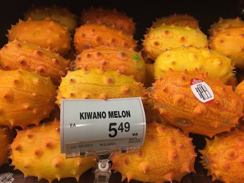 30 certified organic KIWANO JELLY MELON Seeds African Horned Etsy