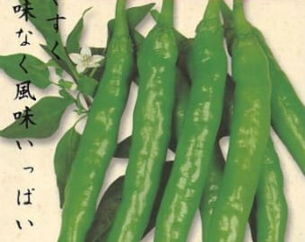 50 Fushimi Sweet Long Japanese sweet pepper seeds; 伏見甘長唐辛子 ふしみあまなが