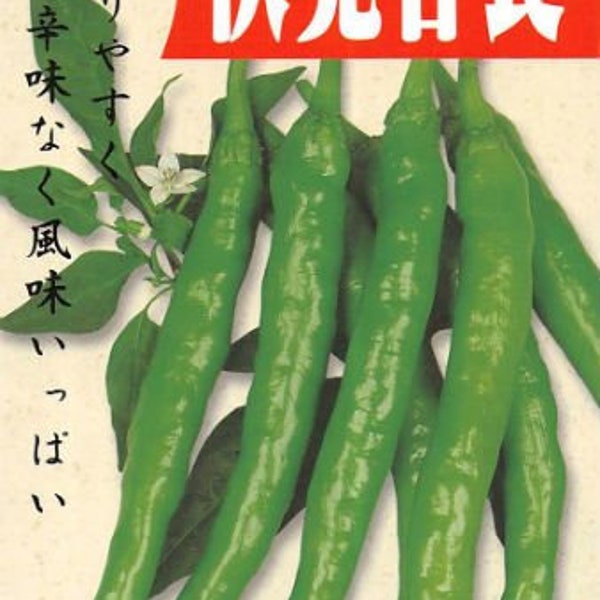 50 Fushimi Sweet Long Japanese sweet pepper seeds; 伏見甘長唐辛子 ふしみあまなが