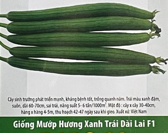 1g 9-10 seeds Vietnamese Hybrid Long Smooth Luffa; Hạt Giống Mướp Hương Xanh Trái Dài Lai F1; RADO 32 Rang Dong