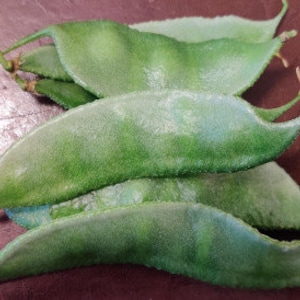 May include: A bunch of five green lima beans, also known as butter beans, on a brown surface.