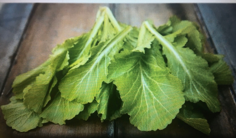 May include: A bunch of fresh green mustard greens with large, ruffled leaves.