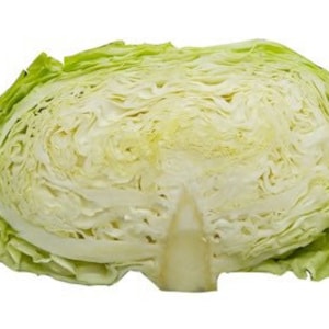 100 TC-YR420 Hybrid Japanese Cabbage seeds; 日本扁型高丽菜; Good for cabbage wraps