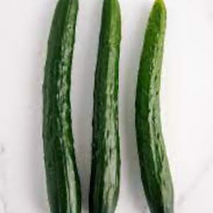 Housaku Hybrid Japanese Burpless smooth skin Cucumber seeds; Tokita TSX-CU114; 豊作胡瓜