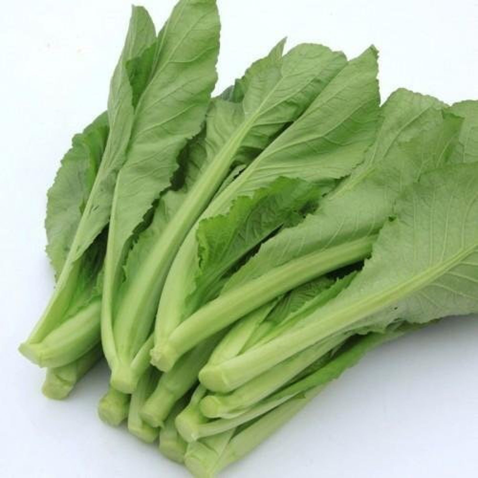 1/4oz 2500 Small GAI CHOI Mustard Green seeds 小芥菜 Etsy