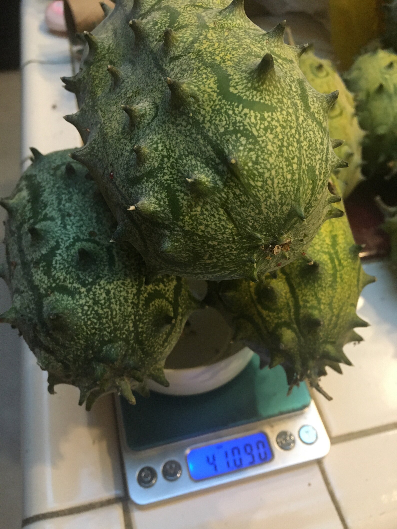 15 Organic KIWANO JELLY MELON Seeds African Horned Melon Etsy