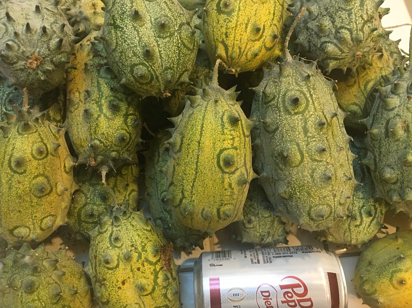 15 Organic KIWANO JELLY MELON Seeds African Horned Melon Etsy