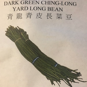 40 Dark Green Qing-Long (Green Dragon) 青龍青皮長菜豆 Yard Long Bean Seeds, Heirloom NON-GMO
