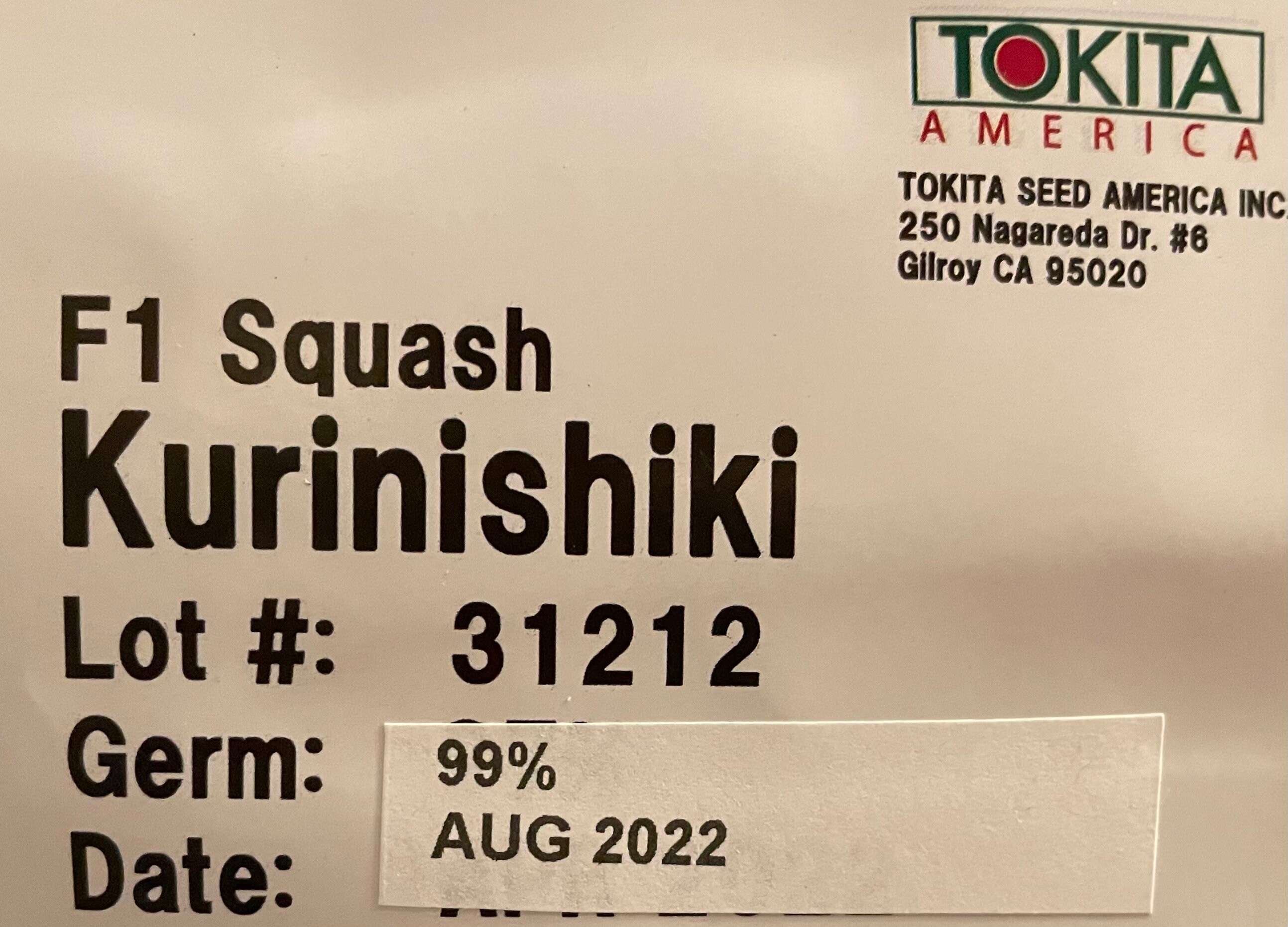 10 KURINISHIKI Hybrid Kabocha Winter Squash Seeds; Black Japanese ...