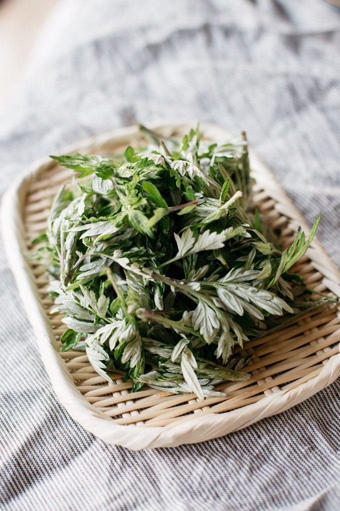 2-gram 20000+ YOMOGI Japanese Mugwort Seeds; Ssuk 쑥; Cây Ngải Cứu