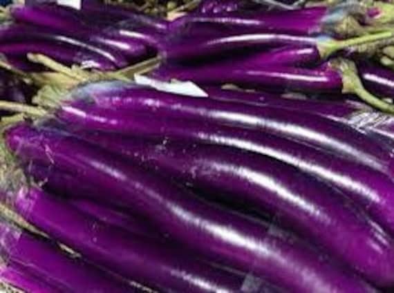 100 PING TUNG Eggplant seeds; PINGTUNG Taiwan Taiwanese; 屏東茄子