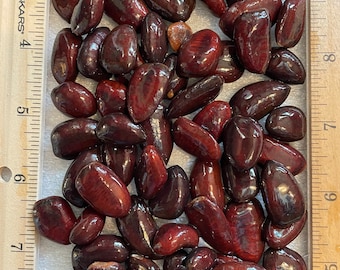 May include: A collection of dark reddish-brown, glossy, oval-shaped seeds arranged between two wooden rulers. The rulers show measurements in inches, with the seeds spanning from the 2-inch mark down to the 8-inch mark on the left side.