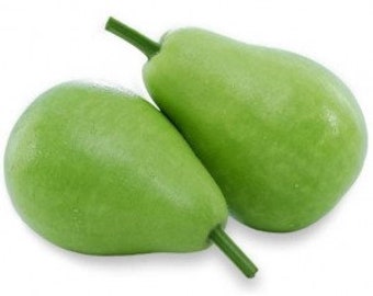 15 Bottle Gourd seeds - Trendy Indian hybrid variety, compact 6"x4" pear shape, Dhudhi Lauki Opo