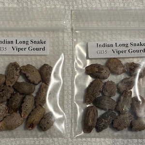 Padwal Maharashtra; Indian Long Snake Viper Gourd Seeds; Chichinda ...