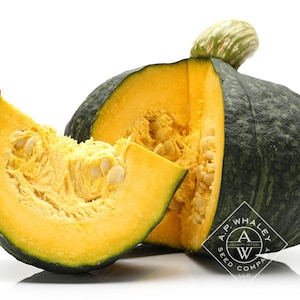 15 Kabocha Japanese Pumpkin Seeds; Heirloom Open Pollinated variety; 南瓜