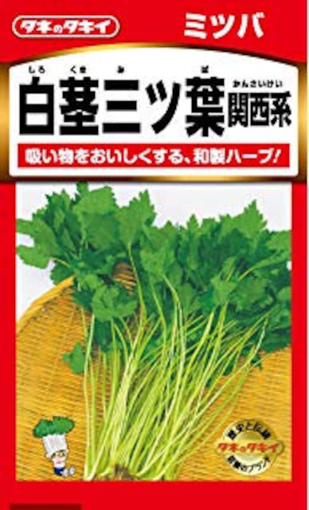 2.5g ~1000 MITSUBA Wild Japanese Parsley Seeds; ミツバ