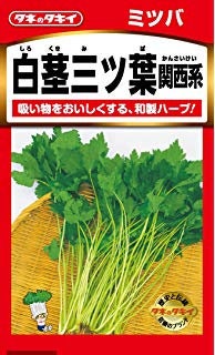 2.5g ~1000 MITSUBA Wild Japanese Parsley Seeds; ミツバ