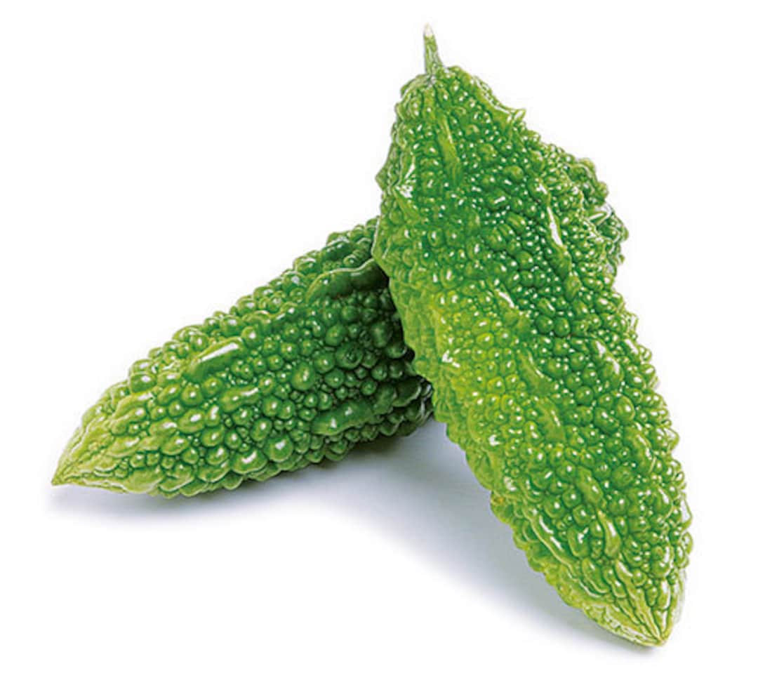 10 OKINAWA GOYA Bittermelon Seeds; Nigauri Japanese Bitter